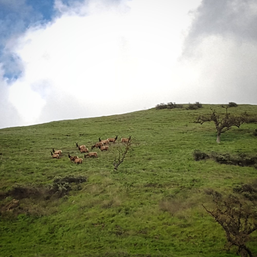 IMG_20180610_110647_429