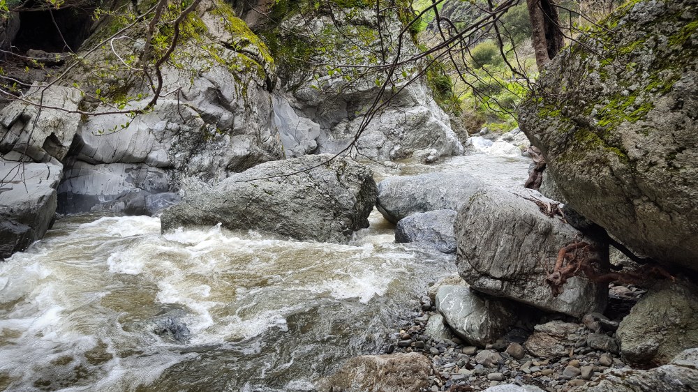 IMG_20180610_111347_544